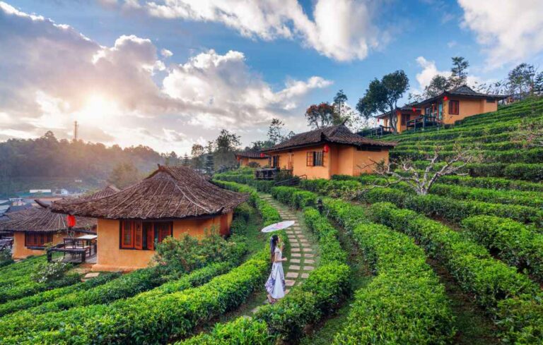 Nutrition Myths You Should Stop Believing